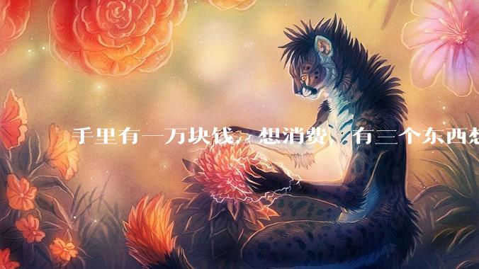 手里有一万块钱，想消费，有三个东西想买，给点建议?