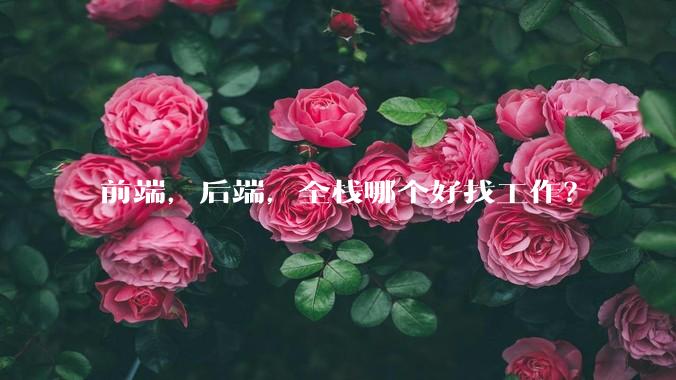 前端，后端，全栈哪个好找工作？
