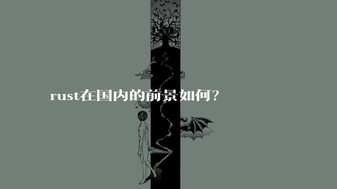 rust在国内的前景如何？