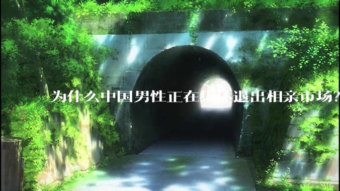 为什么中国男性正在集体退出相亲市场？